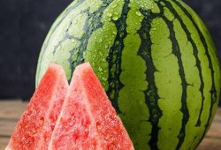 蓝牙吃瓜吴川完整,揭秘吴川的蓝牙美食之旅