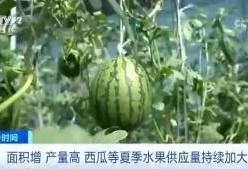汾阳吃瓜群众