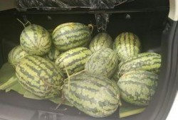 吃瓜搬凳子,围观娱乐圈风云变幻