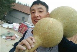 沂水话吃瓜,一场独特的乡村文化盛宴