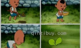 小班瓜瓜吃瓜教案,趣味盎然的亲子互动体验