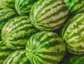 福州博主吃瓜