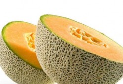 早孕吃哈密瓜流血,早孕期间食用哈密瓜致出血的警示与应对