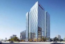 南京景枫吃瓜,一场吃瓜盛宴背后的社区故事