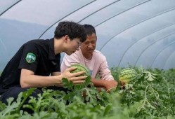 最新吃瓜密码,揭秘明星幕后真相