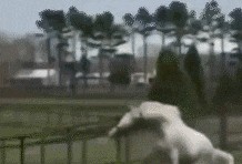 吃瓜情侣动态头像,甜蜜吃瓜，甜蜜秀恩爱