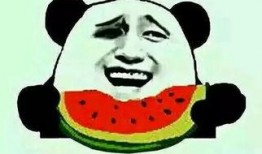 过完年之后吃瓜,揭秘娱乐圈新鲜事