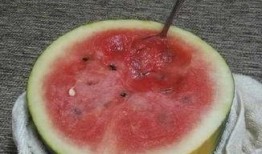 刀小刀吃瓜图片,揭秘娱乐圈幕后风云