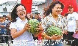 吃瓜天天乐,揭秘娱乐圈那些事儿