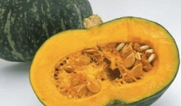 南宁体专吃瓜,揭秘校园吃瓜背后的故事