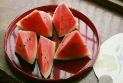 把科技当瓜吃,把科技当瓜吃的趣味探索之旅