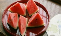 把科技当瓜吃,把科技当瓜吃的趣味探索之旅