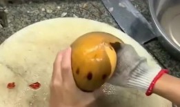 瓜螺可以吃吗,可食用瓜螺的奥秘与美味