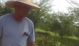 卖瓜大爷给城管吃瓜视频,卖瓜大爷直播互动引发网友热议