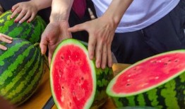 西安大学ppt吃瓜,揭秘校园热点背后的故事