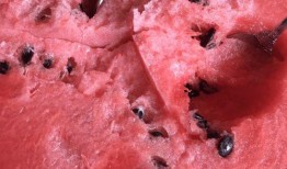 吃瓜大王头像,揭秘吃瓜大王神秘面纱