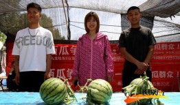 吃瓜大比赛图片,一场视觉盛宴的狂欢现场