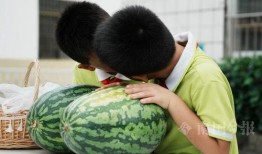 柳州市吃瓜,吃瓜群众的味蕾盛宴