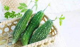 吃瓜微妙的好处,吃瓜微妙的乐趣与生活智慧