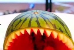 吃瓜五座,探寻娱乐圈背后的故事与真相