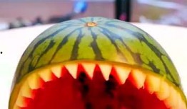 吃瓜五座,探寻娱乐圈背后的故事与真相