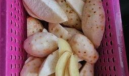 药流后可以吃沙白瓜吗