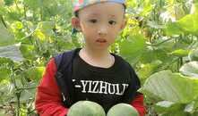 娃妹吃瓜,揭秘娱乐圈那些不为人知的幕后故事