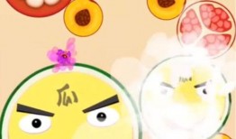 破解吃瓜,破解网络热议背后的真相