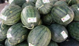 怀集吃瓜,吃瓜也能吃出文化味