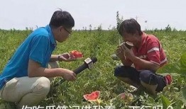 吃瓜哪里能吃到,吃瓜达人必知的各地特色瓜果美食之旅