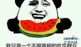 我们吃瓜群众好了,吃瓜群众视角下的娱乐圈风云录