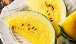 哈尔滨人吃瓜视频,趣味视频展现冰城夏日风情