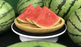 许愿吃瓜后续,揭秘神秘瓜果背后的奇幻之旅