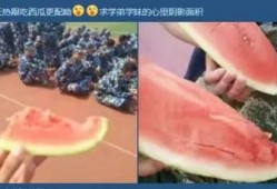 吃瓜群众怎么训练,如何培养洞察力与娱乐精神