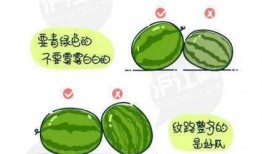 请正确吃瓜,正确吃瓜，健康生活