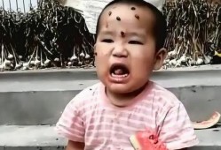 熊孩子的吃瓜