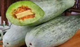 肉装小cherry吃瓜,揭秘电竞女神的瓜田传奇