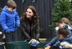 切尔西吃瓜群众,吃瓜群众视角下的豪门恩怨