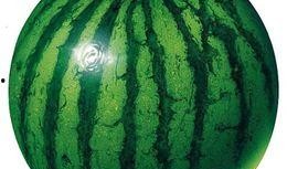 吃捧瓜对身体有什么好处,养生保健的天然良方