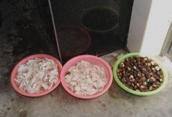 肥仔吃瓜深圳,揭秘深圳美食新潮流