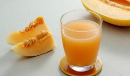 苍蝇吃哈密瓜吗