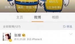 吃瓜队大队长,揭秘娱乐圈幕后风云