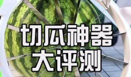 吃瓜人才大会,揭秘网络热议背后的故事与人才风采