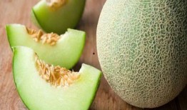 姨妈第四天可以吃哈密瓜,哈密瓜助力健康恢复”