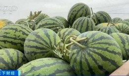 交城吃瓜网,揭秘本地新鲜趣事，带你领略交城独特魅力