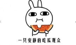 请正确吃瓜,正确吃瓜，健康生活