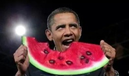 吃瓜美国人,他们眼中的热点事件与生活百态