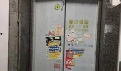 电梯听电话吃瓜,揭秘吃瓜群众的日常趣事
