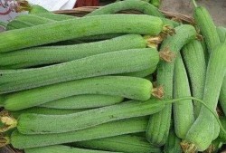 喜欢怎么吃瓜,揭秘“喜欢怎么吃瓜”的独特风味