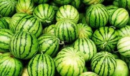 吃西瓜算吃瓜吗为什么,揭秘“吃瓜”一词的趣味内涵